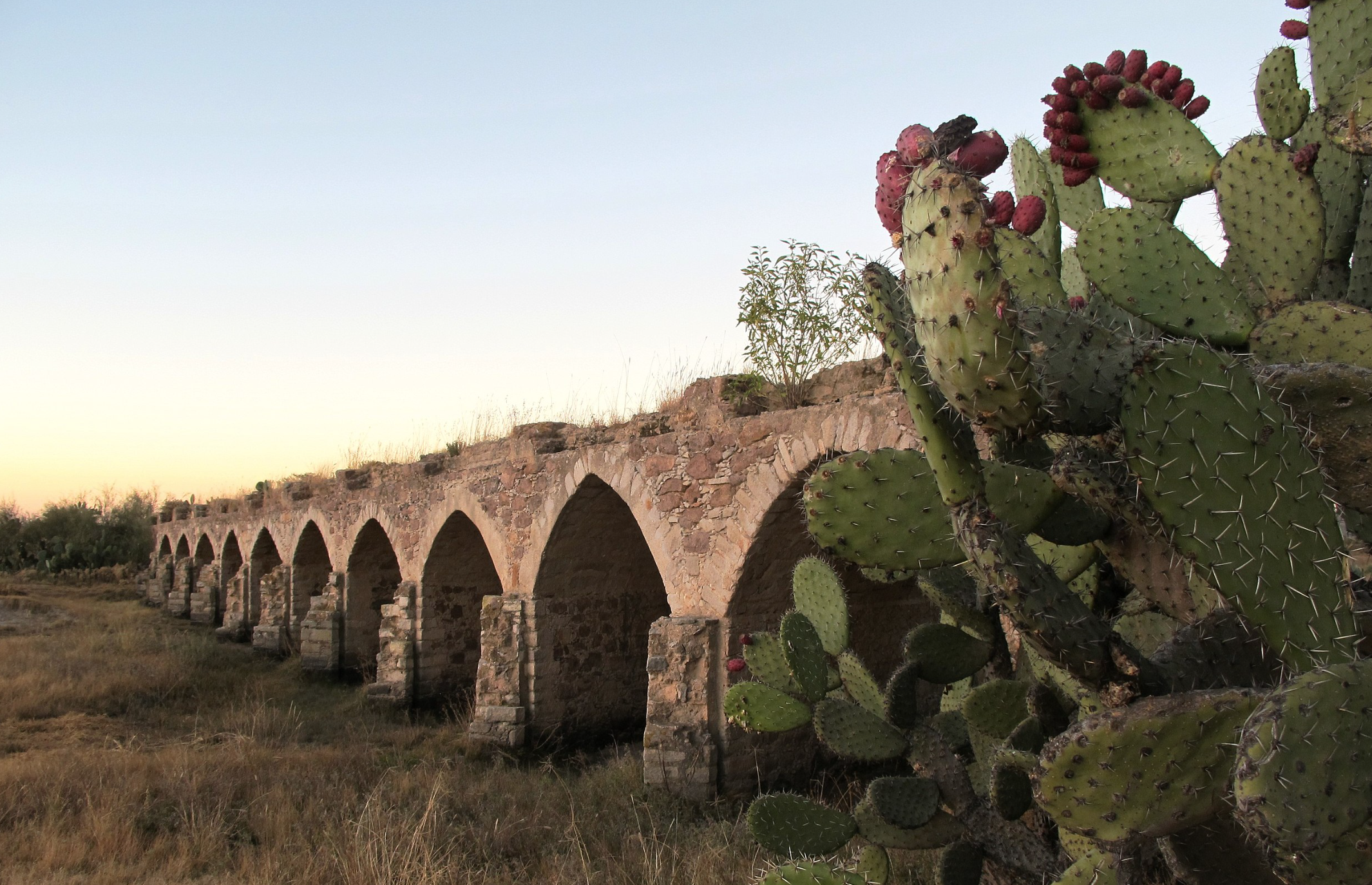 Clausuran parque ‘Camino Real del Tigre’, en Jalisco